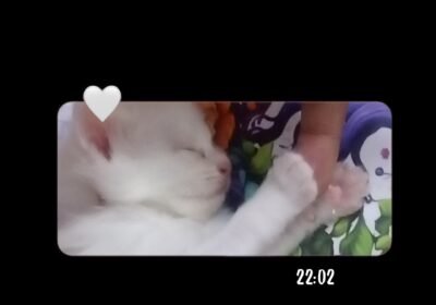 1000006953