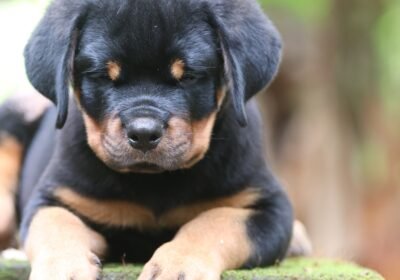 f150a0b5-4990-4e21-bc25-840cd578a682