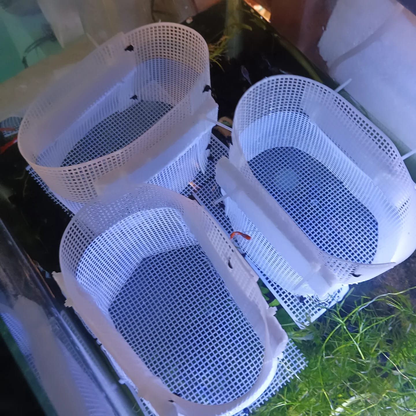 Fish Breeding Cage Available in palakkad, kerala